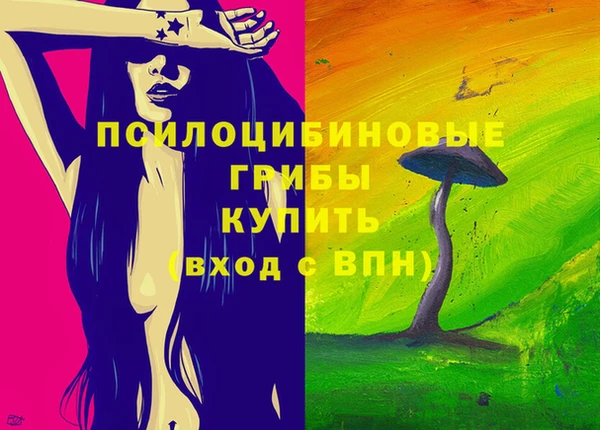 крисы Белокуриха