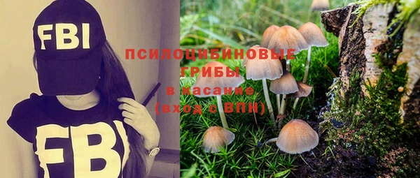 крисы Белокуриха