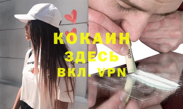 крисы Белокуриха