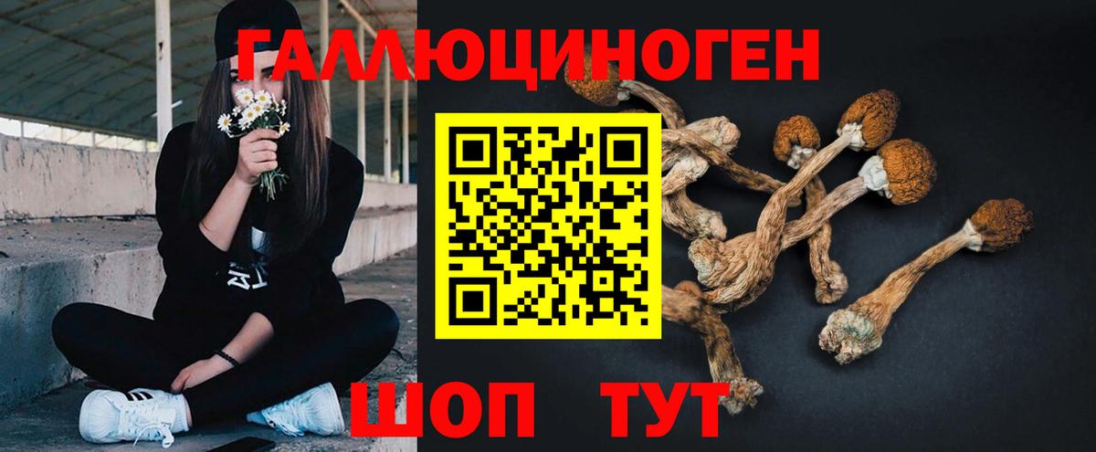 Бутурлиновка  Галлюциногенные грибы Psilocybe  Галлюциногенные грибы мухоморы  купить закладку  Вход с VPN 